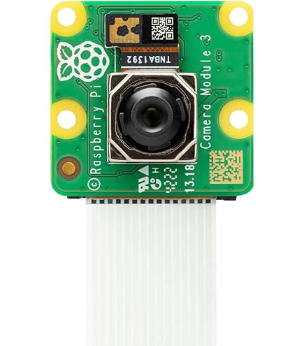 Amazon.com: DORHEA for Raspberry Pi 4B Case Supporting Camera